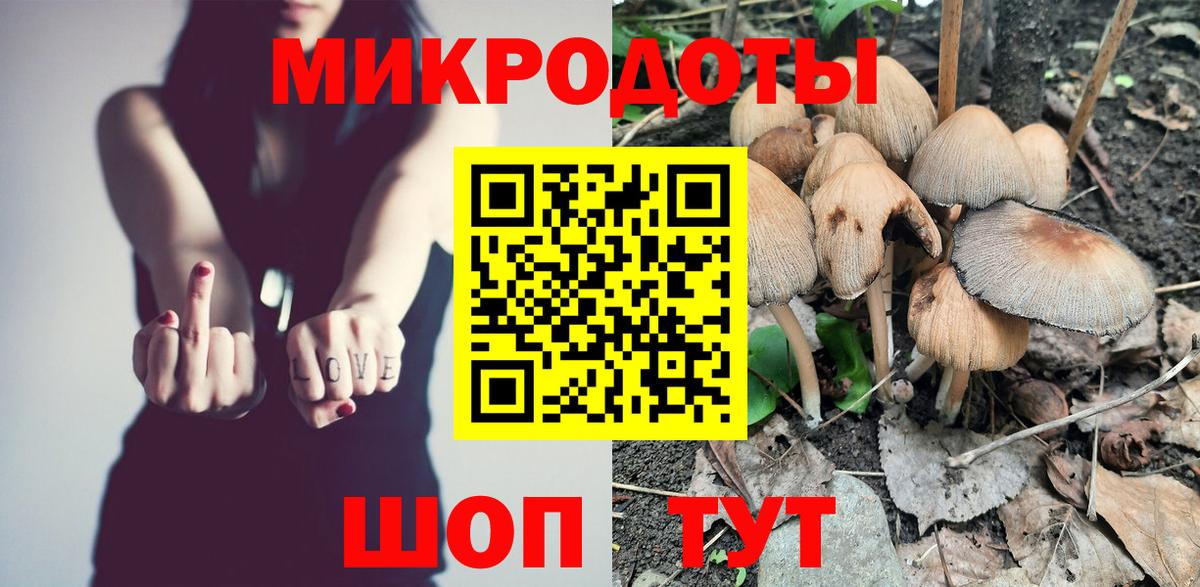 Галлюциногенные грибы Psilocybine cubensis  Вход с VPN  Кашира 